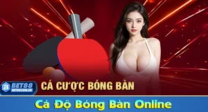 Cá cược bóng bàn online