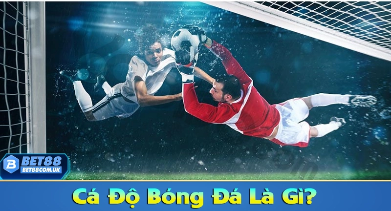 Khái niệm cá độ bóng đá online là gì