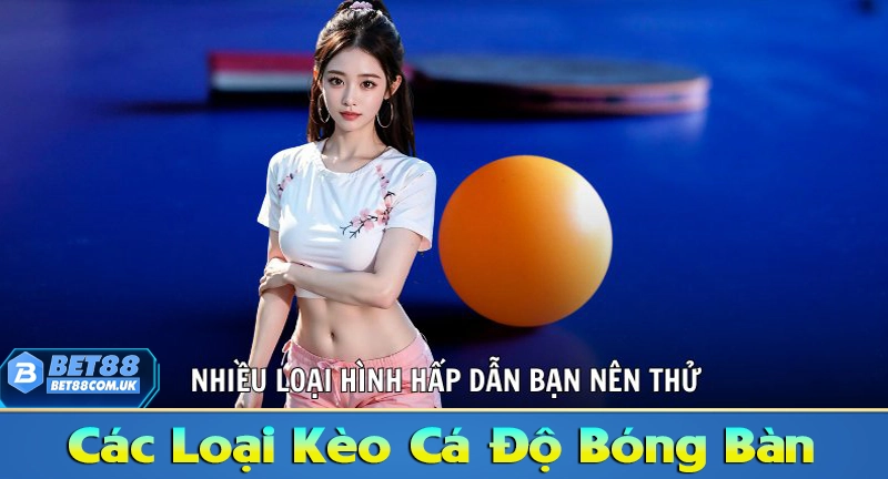 Top 7 Chiến Thuật Cá Cược Bóng Bàn Giúp Bạn Tăng Tỷ Lệ Thắng 6 Các loại kèo cá cược bóng bàn online nên biết